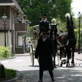 IMG_578761