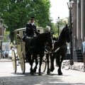 IMG_578764