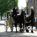 IMG_578766