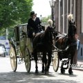 IMG_578767