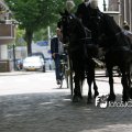 IMG_578772