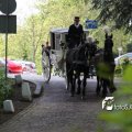 IMG_578777