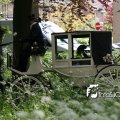 IMG_578790