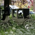 IMG_578791