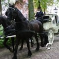 IMG_578803