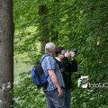 IMG_578681