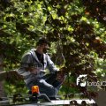 IMG_578684