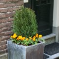 IMG_578917