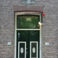 IMG_578933