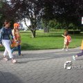IMG_613731