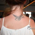 IMG_607169