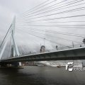 IMG_617365