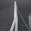 IMG_617686