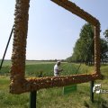IMG_625185