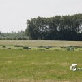 IMG_625289
