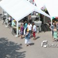 IMG_631508