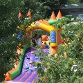 IMG_631569