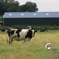 IMG_659010