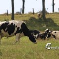IMG_659017
