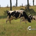 IMG_659018