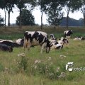 IMG_659019