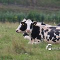 IMG_659023