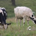 IMG_659024