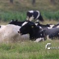 IMG_659025