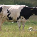 IMG_659031