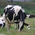 IMG_659032