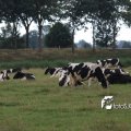 IMG_659041