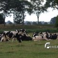 IMG_659042