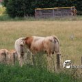 IMG_659075