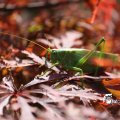 IMG_661623