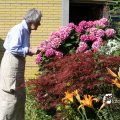 IMG_661629