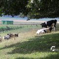 IMG_662001