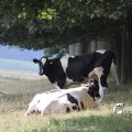 IMG_662004