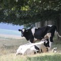 IMG_662005