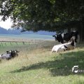 IMG_662006