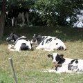 IMG_662010