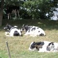 IMG_662012