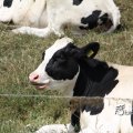 IMG_662013