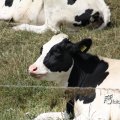 IMG_662014