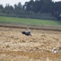 IMG_662022