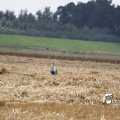 IMG_662023