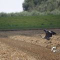 IMG_662024