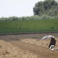 IMG_662025