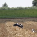IMG_662027