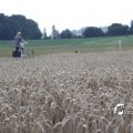IMG_662030