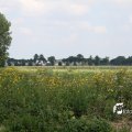 IMG_662039